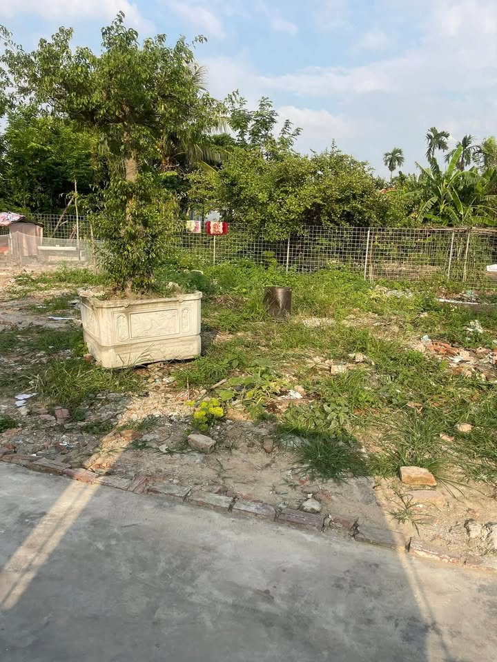 Lô đất thổ cư Quang Trung, An Lão 75,8m² giá đầu tư - Vị trí đắc địa gần quốc lộ 10!