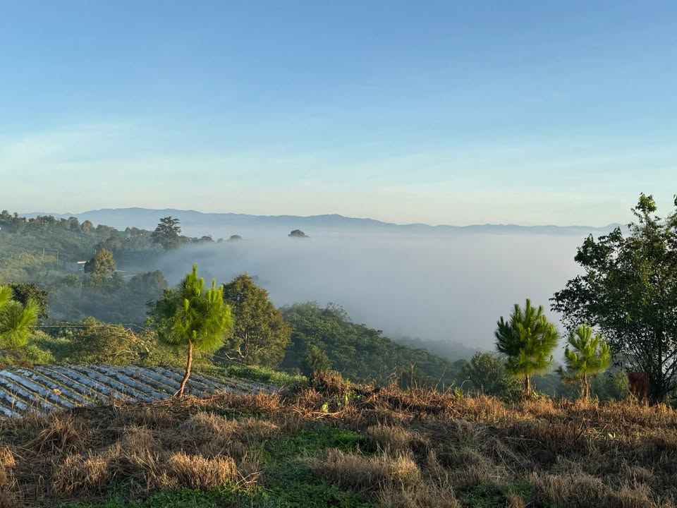 Đất nền Tân Hà Lâm Hà 3000m² giá 1.9 tỷ - Phù hợp định cư lâu dài!