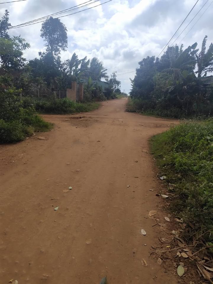 Đất nền Ea Păl, Đắk Lắk 250m² giá 500 triệu - Vị trí đắc địa thuận lợi