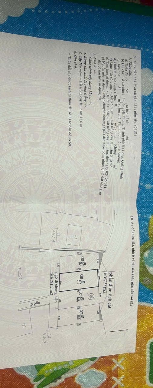 Đất nền Hạ Long 81m² giá 800 triệu - Sổ đỏ chính chủ, vị trí đắc địa!