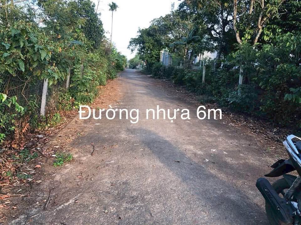 Lô đất Hòa Thắng Buôn Ma Thuột 730m² giá 1.7 tỷ - Cơ hội đầu tư tuyệt vời!