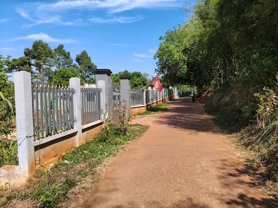 Đất Farm Phước An, Hớn Quản 50000m² giá 1.5 tỷ - Cơ hội đầu tư sinh lời!