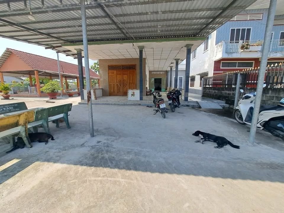 Đất và nhà cấp 4 Bến Lức 636m² giá 5.5 tỷ - Đường bêtông xe tải vào tận nơi!