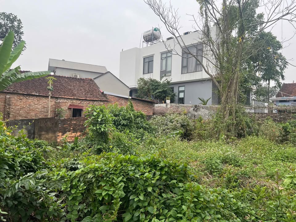 Đất thổ cư 322m² tại chùa Mỹ Thái, Lạng Giang - Giá tốt, mặt tiền rộng!