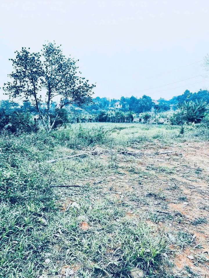 Đất nghỉ dưỡng Yên Bài, Ba Vì 2700m² giá 2.7 tỷ - Sổ đỏ chính chủ, view núi đẹp!