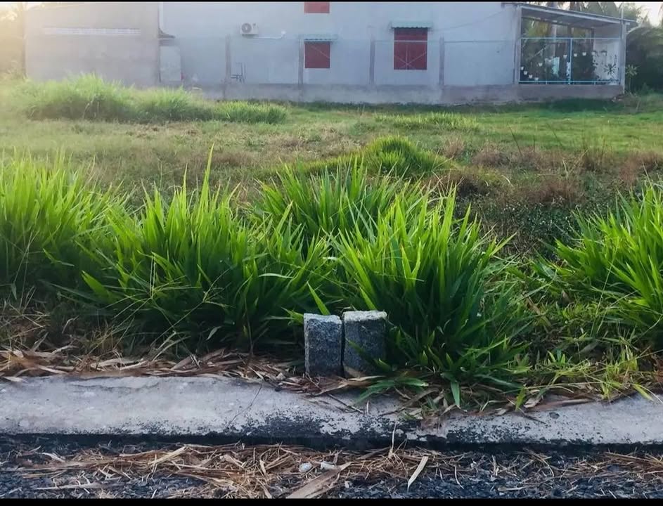 Đất liền kề mặt tiền nhựa Trần Văn Ẩn, 150m², giá chỉ từ 450 triệu - Cơ hội đầu tư hấp dẫn!