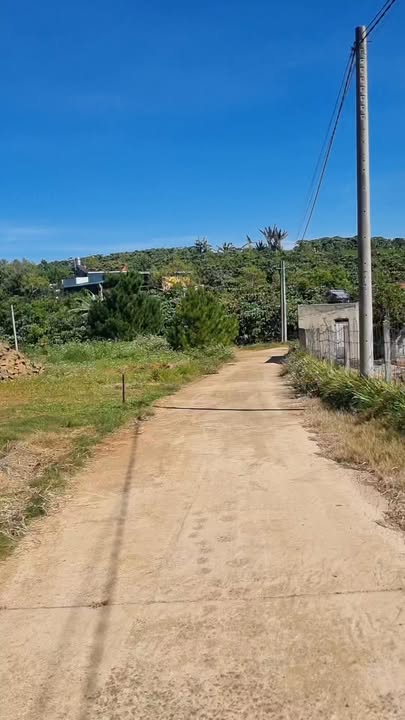 Đất thổ cư 271m² Thôn 8, Bảo Lộc - Giá chỉ 1.39 tỷ, view đẹp!