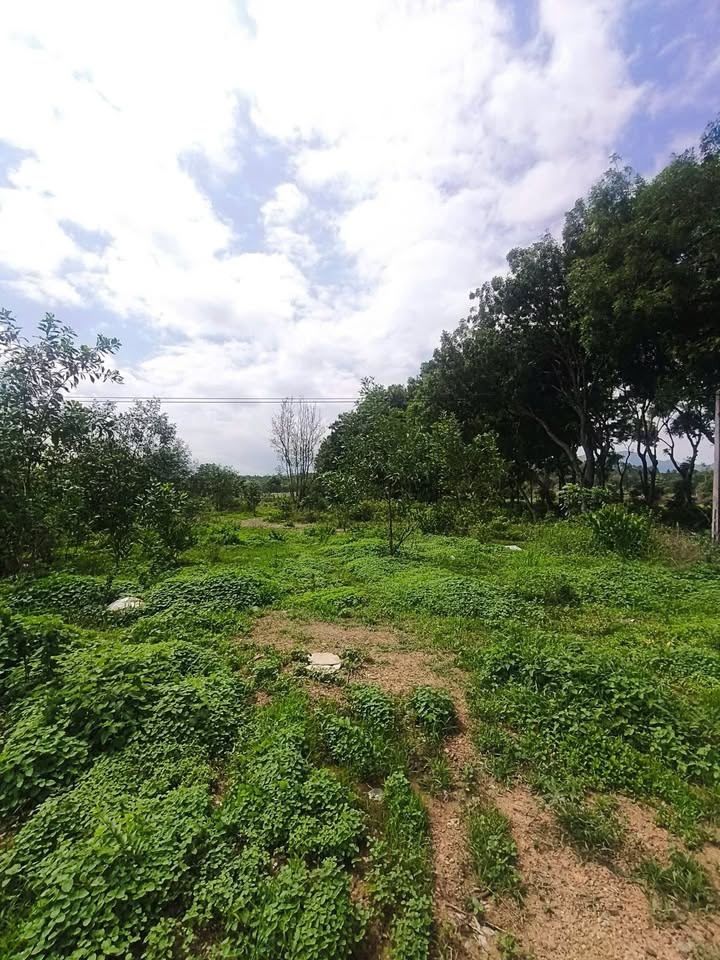 Đất nền đẹp 5.881m² tại Hàm Tân, Bình Thuận - Giá chỉ 14 tỷ