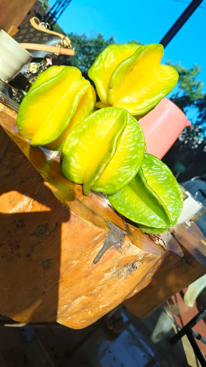 Đất nền Tiến Thịnh Mê Linh 60m² giá 750 triệu - Cơ hội đầu tư tuyệt vời!