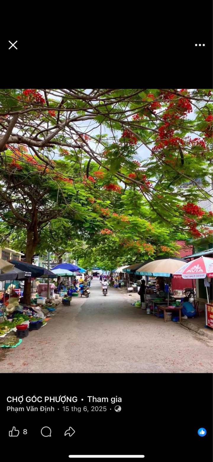 Đất nền Tô Hiệu Sơn La 58.5m² giá 1.4 tỷ - Cơ hội đầu tư sinh lời!