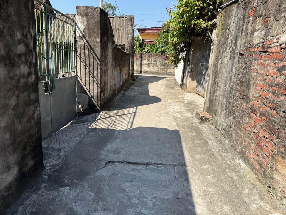 Đất nền phường Bích Đào, Hoa Lư 65m² - Gần chợ, trường học thuận tiện!