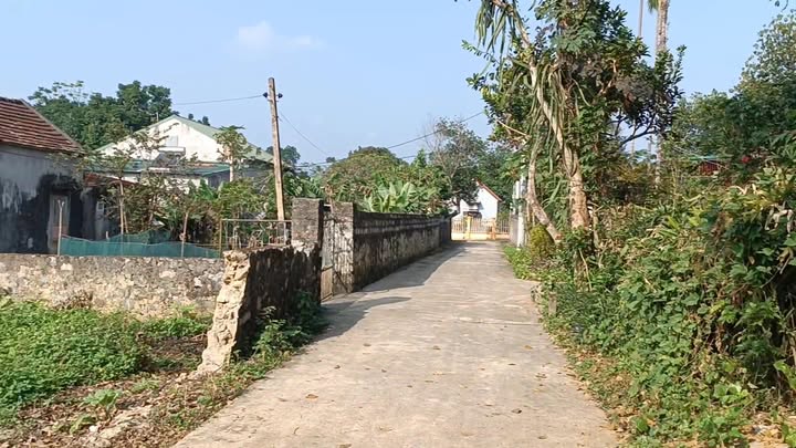 Đất nền chính chủ tại Phú Long, Nho Quan, Ninh Bình 764m² - Giá thỏa thuận hấp dẫn!