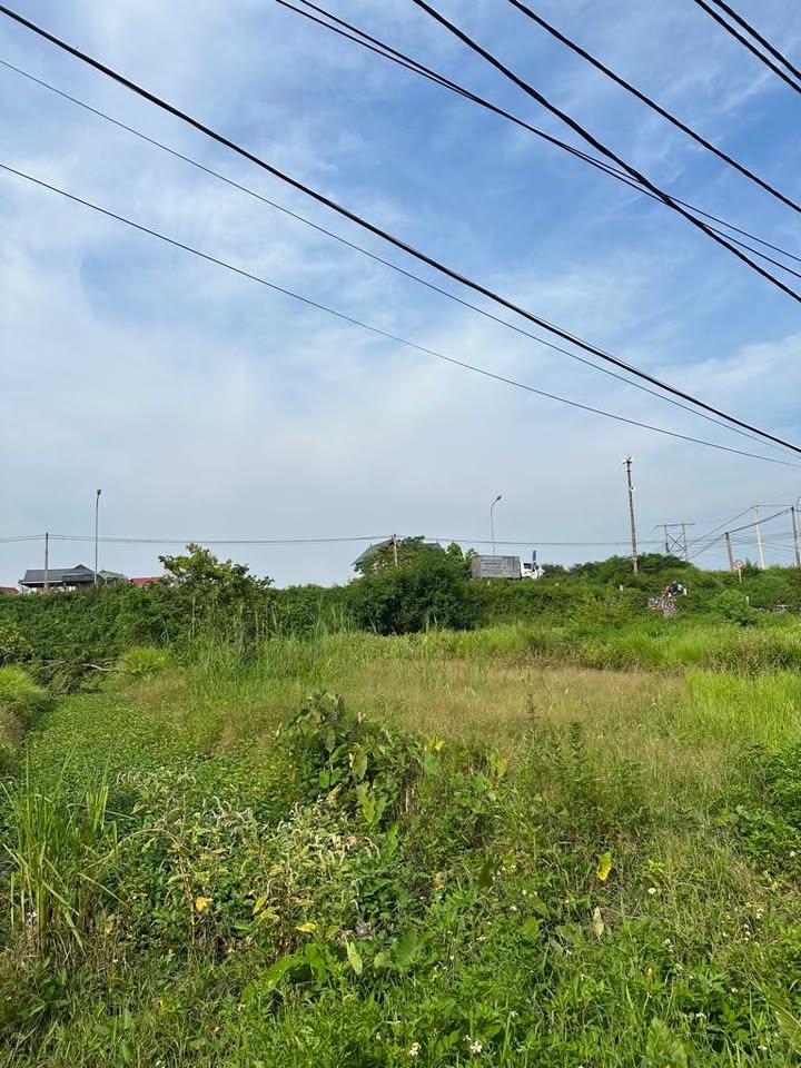 Đất nền Đồng Mai Hà Đông 48m² giá 2.5 tỷ - Sổ đỏ chính chủ