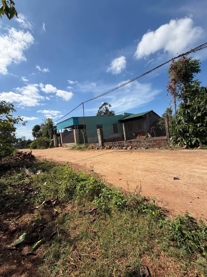 Đất nền Trà Đa, Pleiku 600m² giá 800 triệu - Cơ hội đầu tư không thể bỏ lỡ!