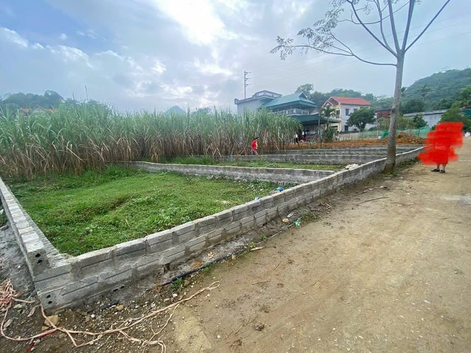 Đất thổ cư 140m² Lạc Lương, Yên Thủy, Hòa Bình - Mặt tiền 5m, xe ô tô vào tận nơi!
