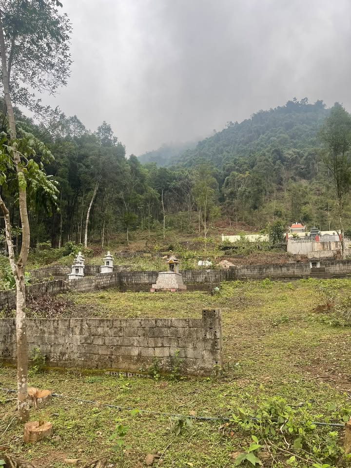 Đất nghĩa trang Dân Chủ Hòa Bình 500m² giá thỏa thuận - Cơ hội đầu tư hiếm có!