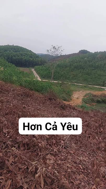 Đất nền Khe Mo, Đồng Hỷ 1.1ha - Tiềm năng đầu tư vượt trội!