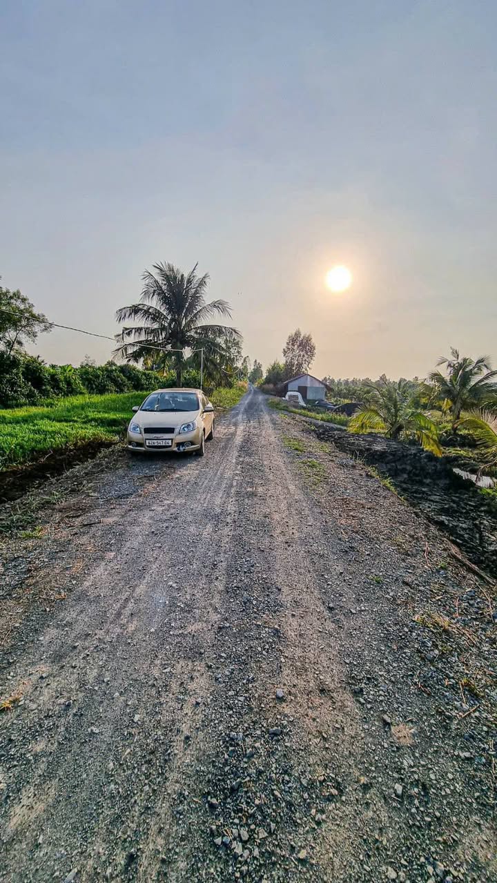 Đất vườn 504m² Thủ Thừa Long An giá 299 triệu - Sổ đỏ chính chủ, ô tô vào tận nơi!