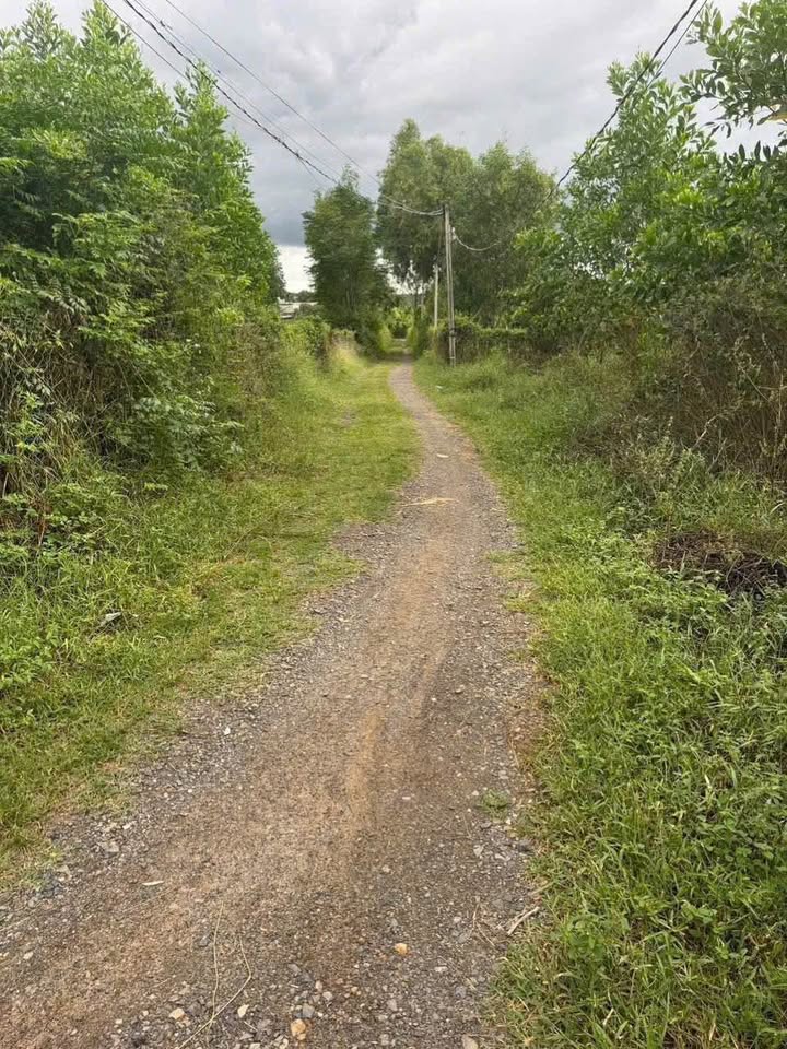 Đất nền 7 sào tại Hồng Sơn, Hàm Thuận Bắc - Giá chỉ 1.6 tỷ, mặt tiền đường lớn!