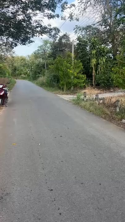 Đất nền 750m² tại Long Hòa, Dầu Tiếng, giá chỉ 675 triệu - Cơ hội đầu tư sinh lời!