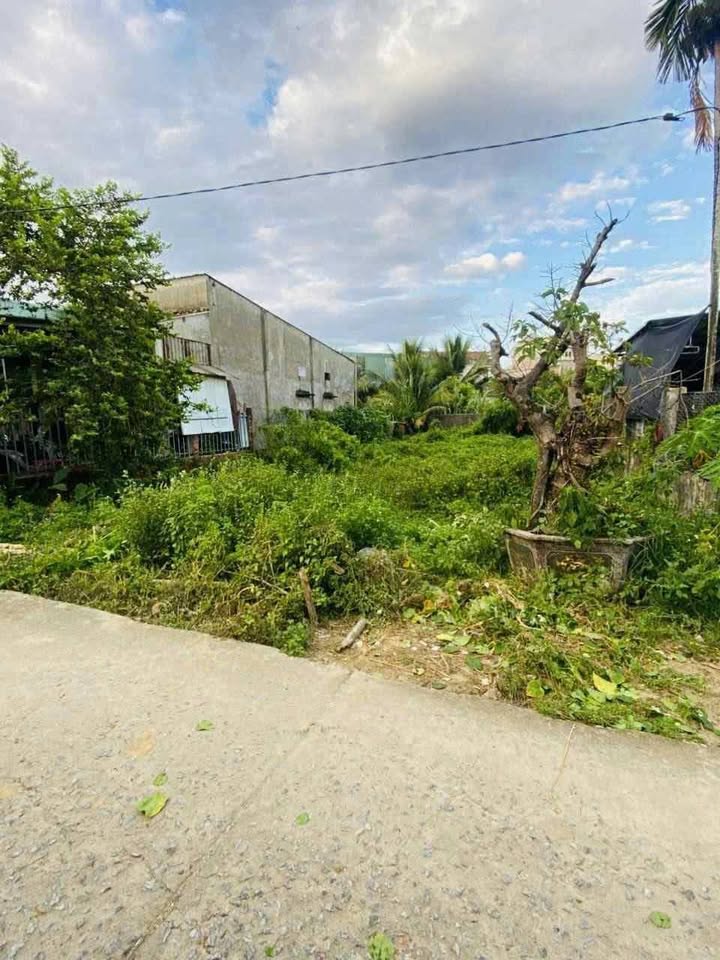 Đất nền Tam Xuân I Núi Thành 100m² giá 600 triệu - Cơ hội đầu tư sinh lời!