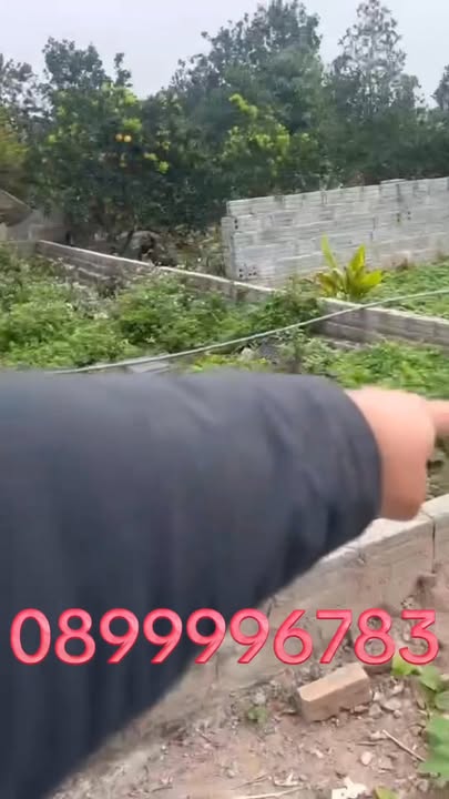 Đất nền Tân Minh Thường Tín 80m² - Gần chợ, ô tô vào tận nơi!