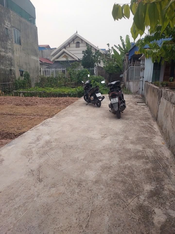 Đất nền Trường Thi, Nam Định 63m² giá 900 triệu - Vị trí vàng an ninh tốt!