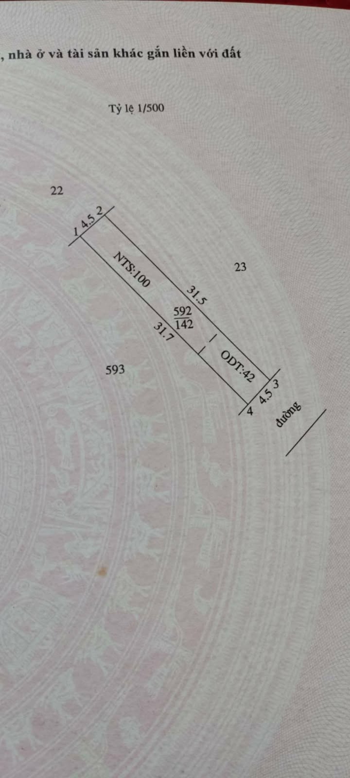 Đất nền TDP 3, Ngô Đồng, Giao Thủy 142m² giá 1.49 tỷ - Sổ hồng chính chủ, công chứng ngay!