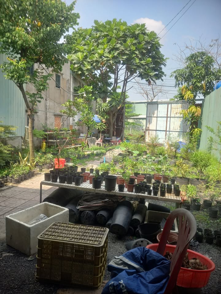 Nhà 2 mặt tiền Thạnh Xuân 60m² giá 1.35 tỷ - Tiện lợi cho gia đình!