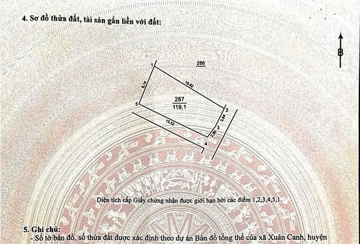 Đất nền Thôn Xuân Trạch, Đông Anh 119.1m² - Đầu tư sinh lời vượt trội!