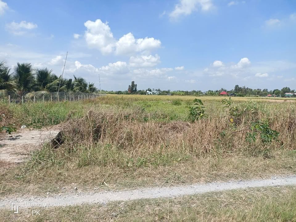 Đất vườn Tân Trụ Long An 610.41m² giá 480 triệu - View kênh thơ mộng!