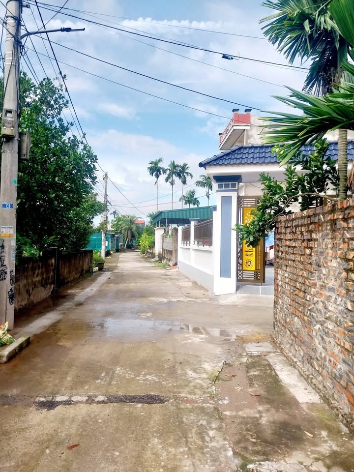 Đất nền thôn Hùng Lộc, Quỳnh Mỹ 191m² giá chỉ 5xx triệu - Hậu nở tài lộc!