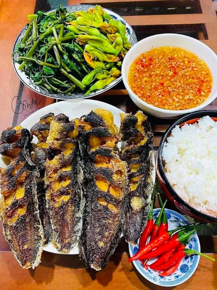 Đất thổ cư xã Mỹ An 1000m² giá 1 tỷ - Cơ hội đầu tư tuyệt vời!