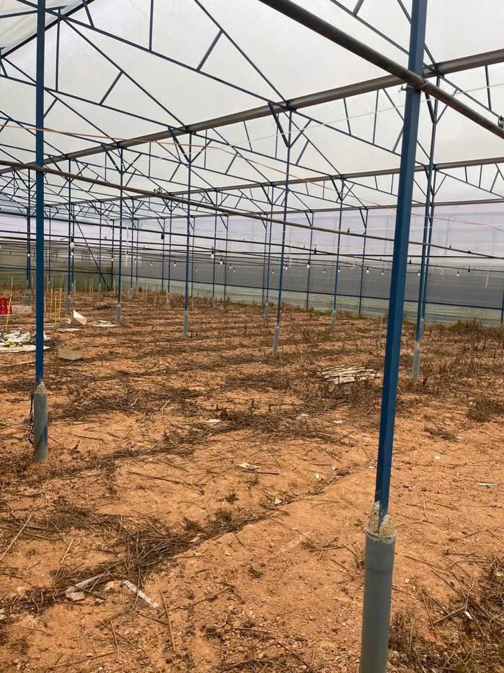 Lô đất Phước Thành Đà Lạt 88m² giá 800 triệu - Đối diện trường học, khu dân cư hiện hữu!