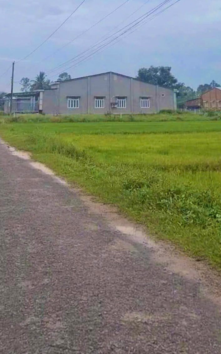 Đất nền Phước Thạnh Gò Dầu 1240m² giá 2.2 tỷ - Tiềm năng đầu tư sinh lời cao!