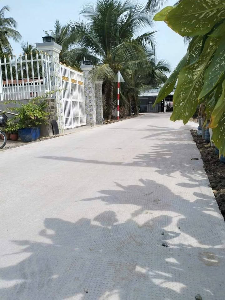 Đất Bến Tre 217m² giá 1.1 tỷ - Sổ đỏ chính chủ, xe hơi tới cửa!