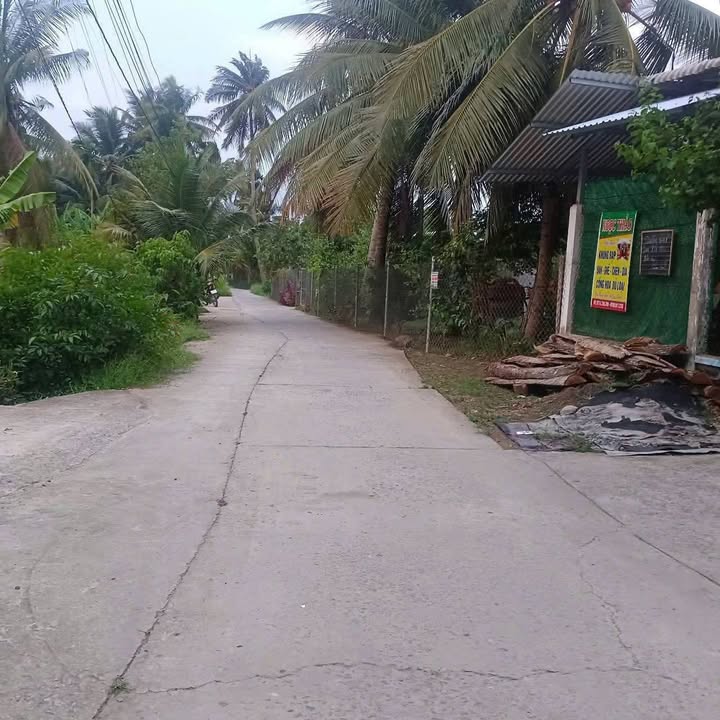 Đất nền Bến Tre 126m² giá 430 triệu - Cơ hội đầu tư tuyệt vời!