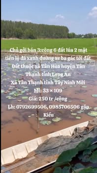 Đất nông nghiệp xã Tân Hòa, huyện Tân Thạnh, 36000m² giá 810 triệu - Đầu tư sinh lời tốt!