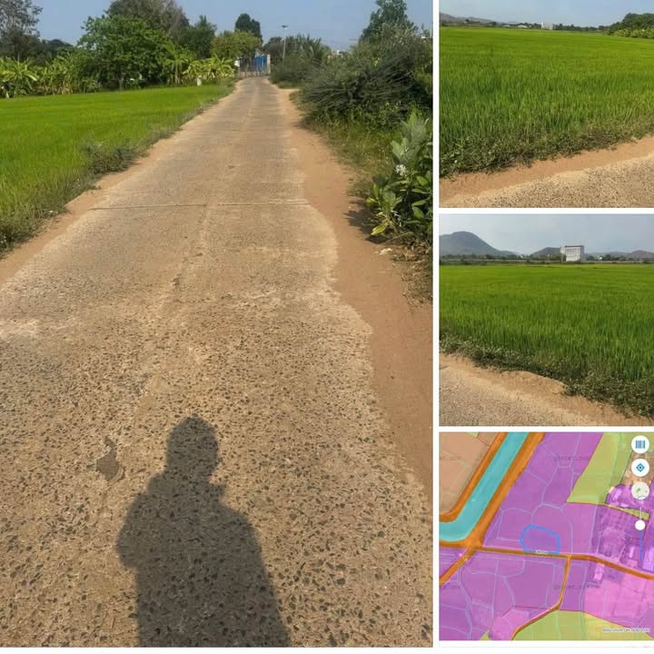 Đất thổ cư 1,1 sào tại xã Hàm Trí, Hàm Thuận Bắc, giá 450 triệu - Cơ hội đầu tư tuyệt vời!