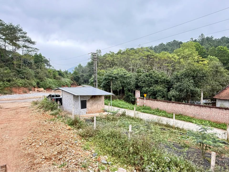 Đất nền Minh Quang Ba Vì 300m² giá 600 triệu - Mặt tiền 5m bám đường nhựa