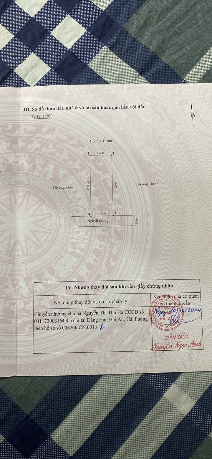 Đất nền tại ngõ 389 Đằng Hải 50m² giá thỏa thuận - Đầu tư sinh lời ngay!