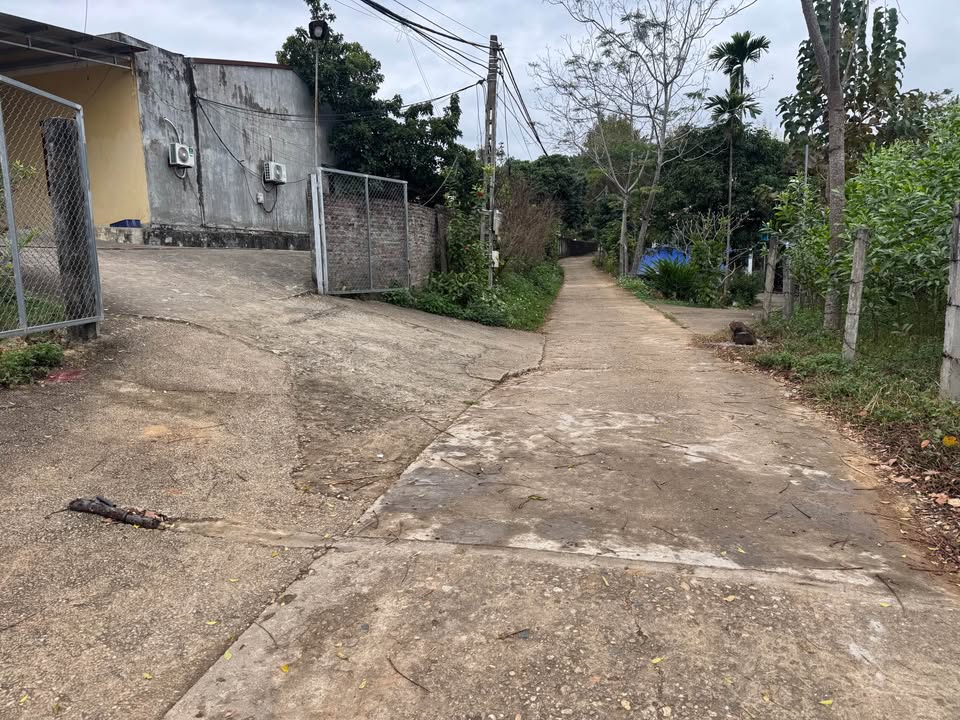 Đất thổ cư An Tường Tuyên Quang 120m² giá 700 triệu - Đường ô tô vào tận nơi!