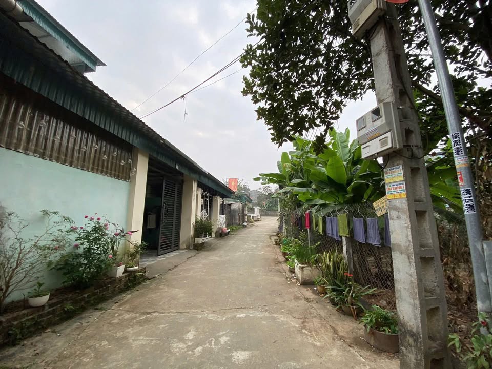 Đất thổ cư Kim Phú Tuyên Quang 115m² giá 1 tỷ - Đầu tư sinh lời lý tưởng!