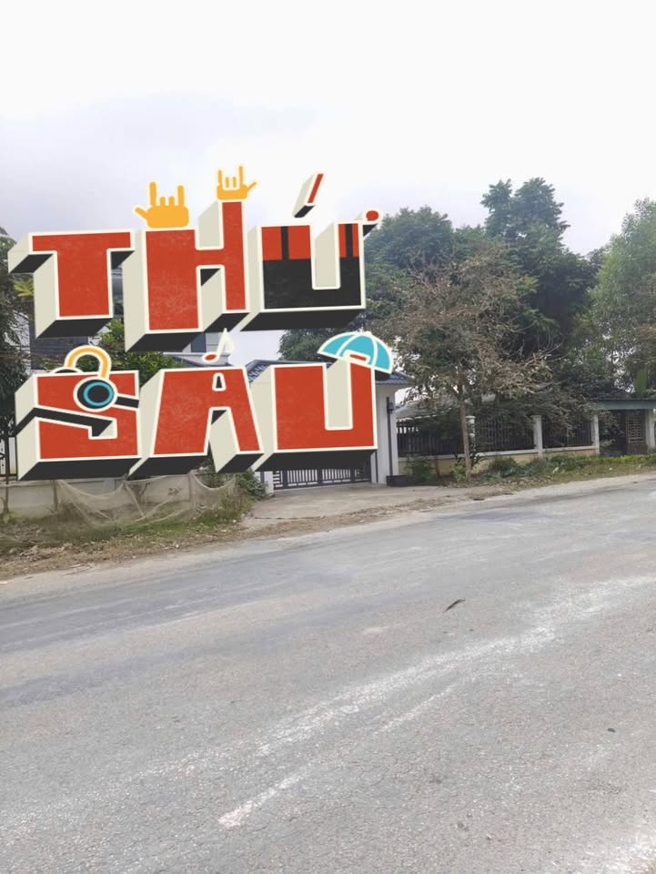 Đất thổ cư mặt đường nhựa Thái Long, Tuyên Quang 300m² - Cơ hội đầu tư tuyệt vời!