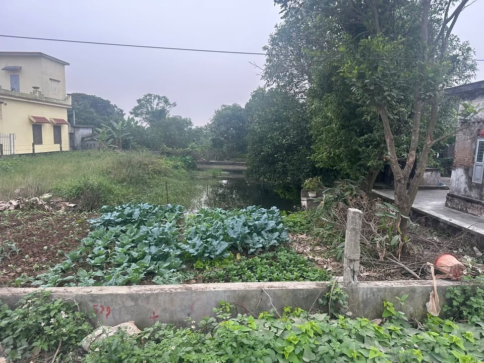 Đất Giao Hà 119m² - Đường rộng như sân bay, đầu tư sinh lời!