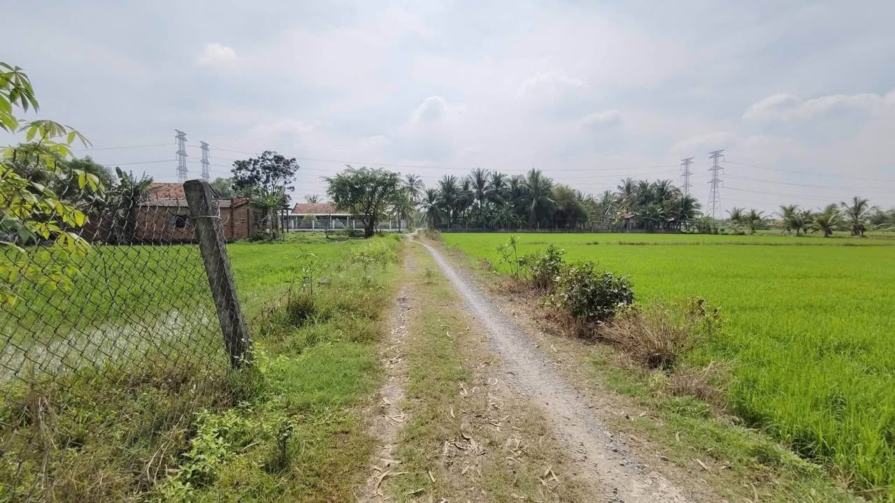 Đất thổ cư Hòa Khánh Đông 600m² giá 2.79 tỷ - Cơ hội đầu tư tuyệt vời!