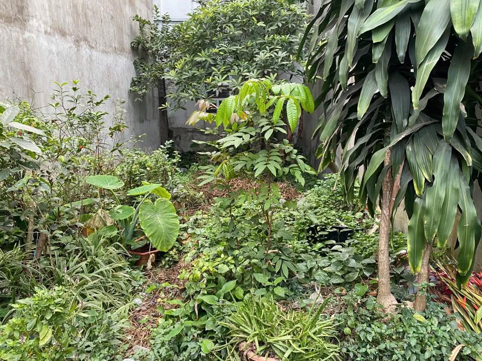 Đất nền Đào Xuyên, Đa Tốn 48m² giá 4.32 tỷ - Ô tô vào tận nơi!