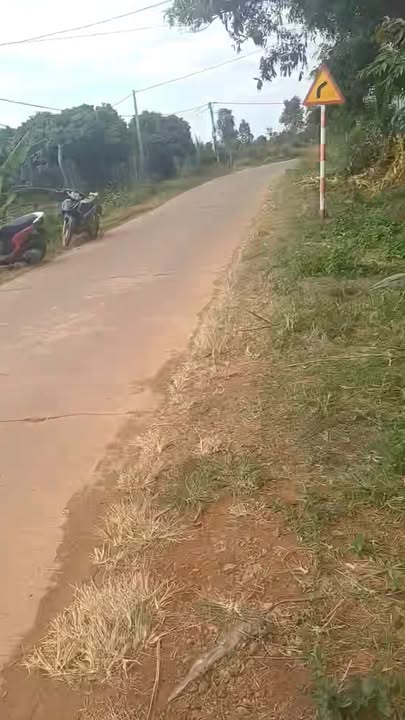 Farm 7200m² tại Cư M'gar, Đắk Lắk giá 1.2 tỷ - Đất đẹp, tiện ích đầy đủ!