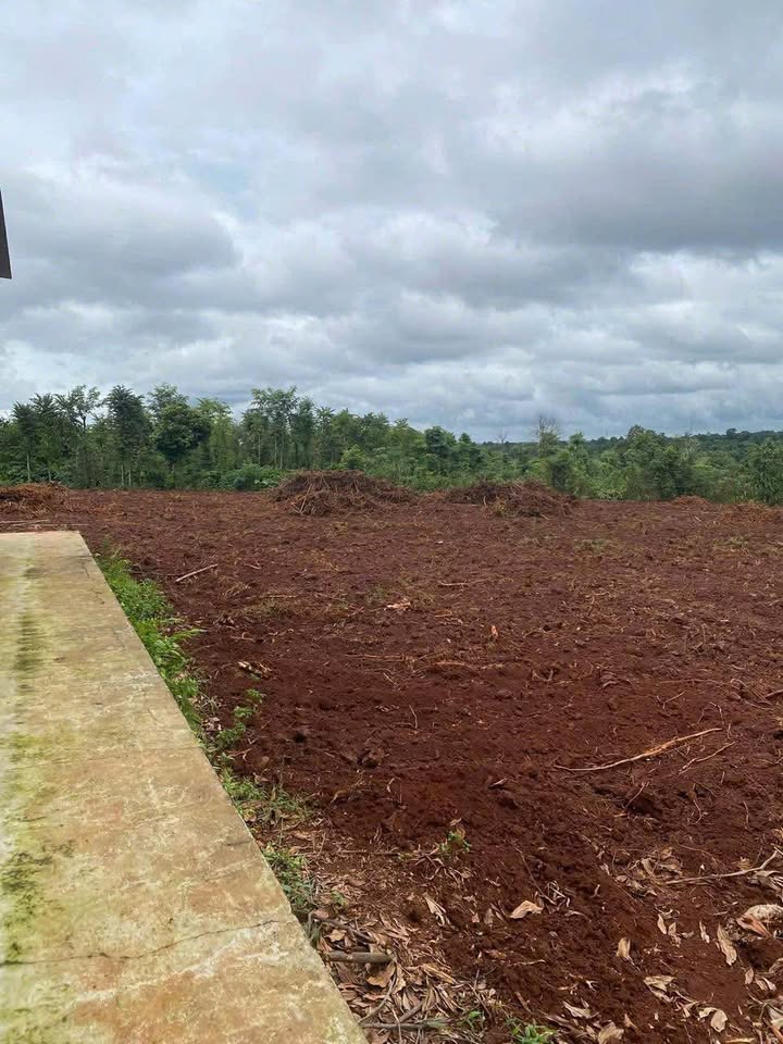 Đất nền tại xã Ea Kpam, huyện Cư M'gar, 220m² chỉ 300 triệu - Đầu tư sinh lời!