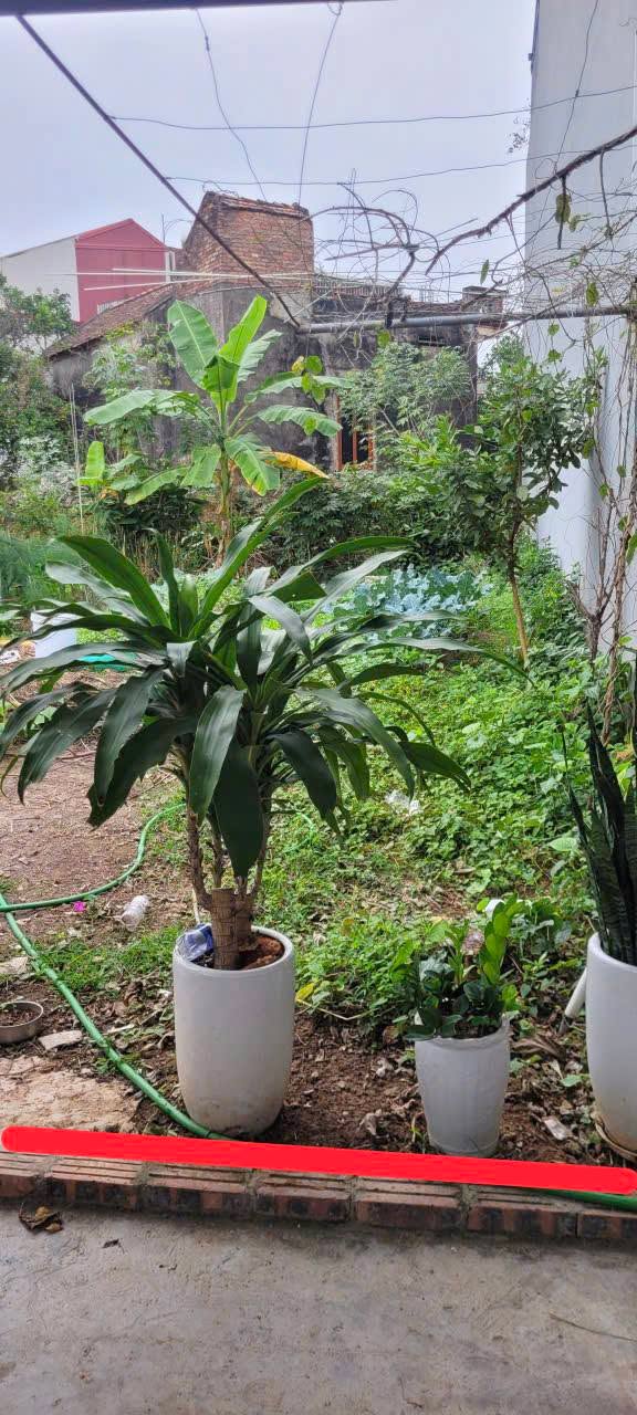 Đất thổ cư Vân Trại, Vân Dương 84.2m² giá 2 tỷ - Vị trí trung tâm đắc địa!